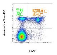 典型的Annexin V-7AAD细胞凋亡染色流式图